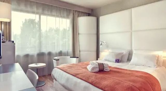 Двухместный номер Deluxe Mercure Brive