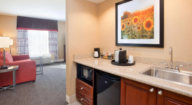 Двухместная студия Hampton Inn & Suites Wichita-Northeast