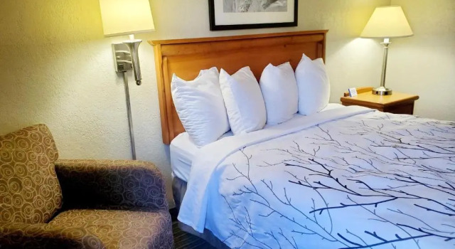 Люкс Days Inn and Suites by Wyndham Downtown Missoula-University