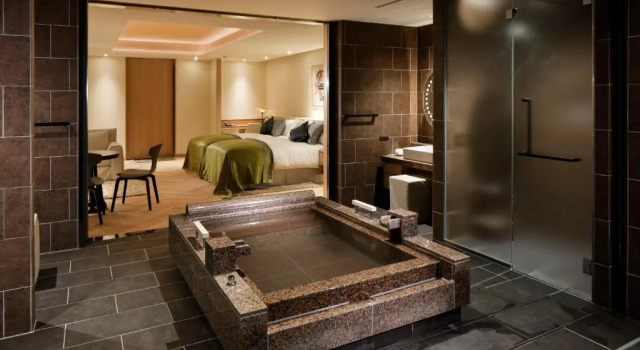 Двухместный номер 1 этаж Deluxe THE HIRAMATSU HOTELS & RESORTS SENGOKUHARA HAKONE