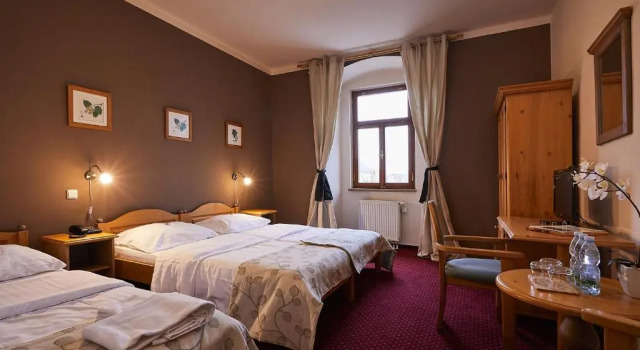 Трёхместный номер Standard Hotel Panská