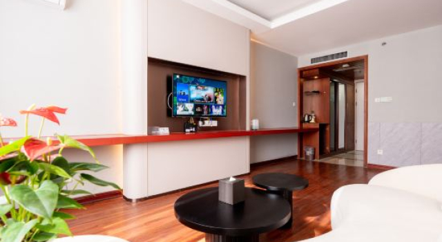 Люкс Haining Holiday International Hotel