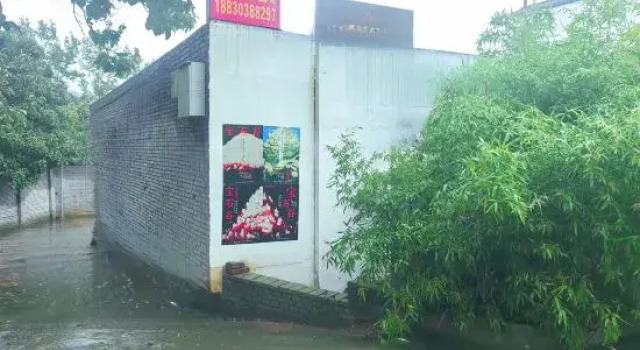 Shu Xin Ya She Homestay, Rezervovat Hotel Čeng-čou Henan