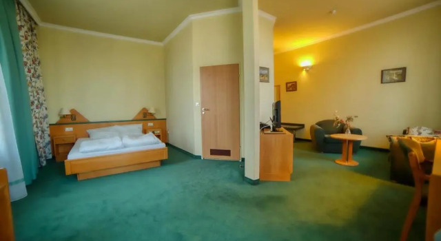 Двухместный номер Deluxe Hotel Polonia Racibórz
