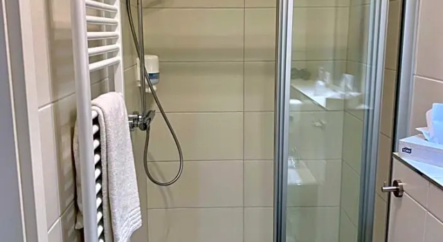Одноместный номер Standard Hotel Waldhalle