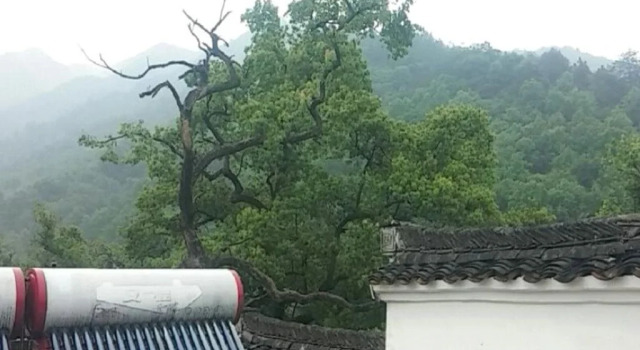 Yun Shui Guest House, Rezerwuj Pensjonat Hotele w Shangrao z parkingiem, Parking