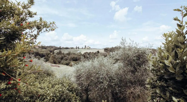 Апартаменты Agriturismo Il Pintello
