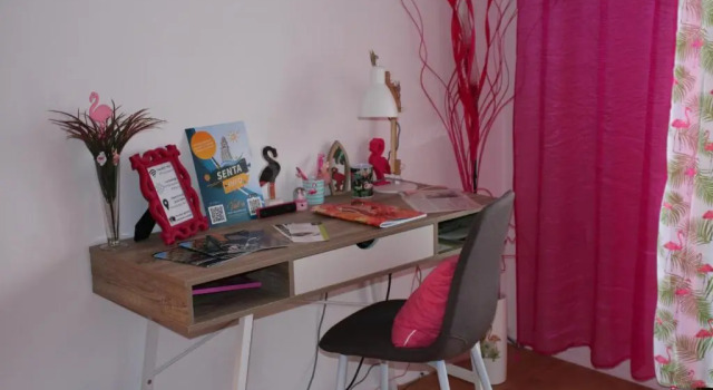 Pink Flamingo Nest - unique design apartment, Prenota Appartamento Senta Vojvodina