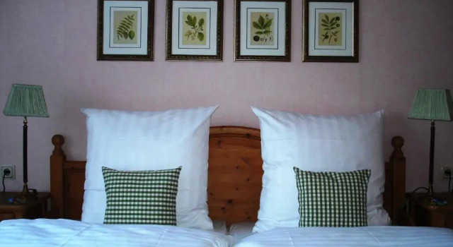 Двухместный номер Standard Bayrischer Hof Wohlfühl - Hotel Saarbrücken