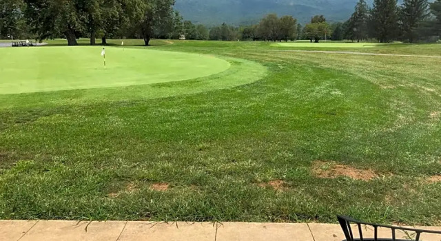 Номер Standard Shenvalee Golf Resort