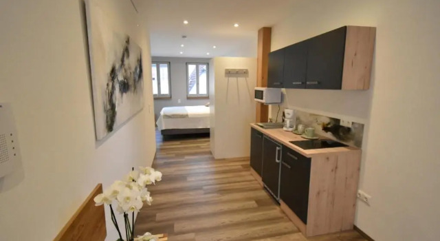 Апартаменты Ferienapartments Volkach