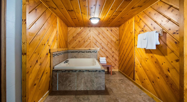 Двухместный люкс Econo Lodge Duluth near Miller Hill Mall