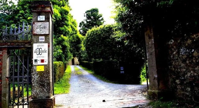 Bio Agriturismo Alle Camelie, Boek Hotel Hotels in Capannori met zwembad, Zwembad