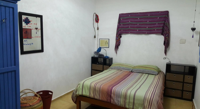 Cozy & Full Apt in Coyoacan Great for Long Stays