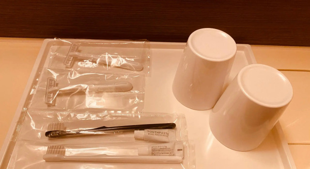 Одноместный номер Standard Smile Hotel Tokyo Nishikasai