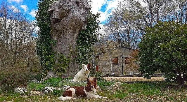 Cabañas Vallecino, Rezervați Hotel Manzanal de los Infantes Provincia de Zamora