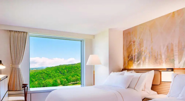 Двухместный люкс Luxury двухуровневый c 1 комнатой The Westin Rusutsu Resort