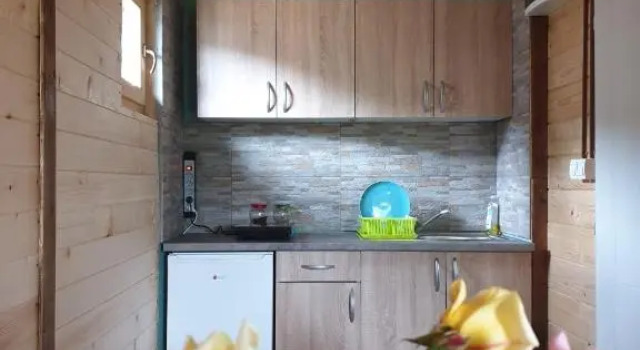 Студия Etno Apartment Vrdnik