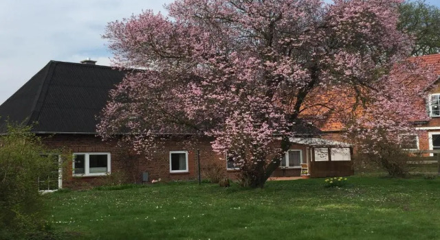 Коттедж Ferienhof Altona
