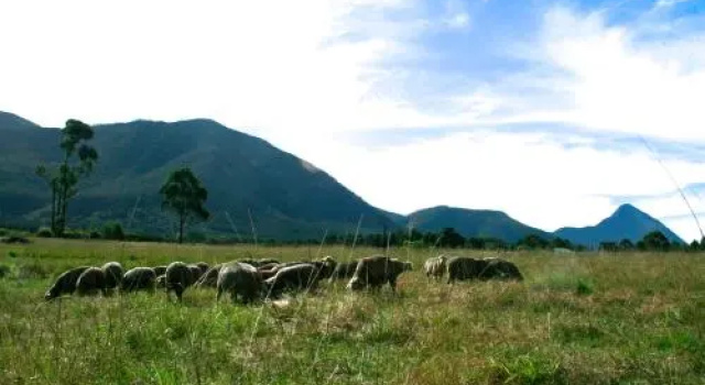 Love Earth Farm, Забронировать Фермерский дом Фермерские дома Tsitsikamma, Фермерский дом