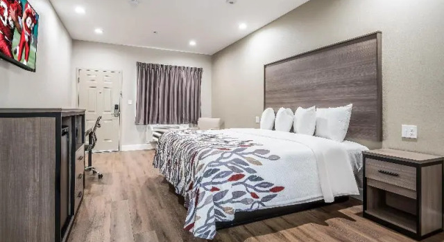 Номер Deluxe Red Roof Inn Baytown