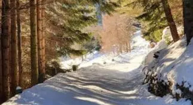 Residenza Sofia - Ponte di Legno fraz. Pezzo, Забронировать Дом для отпуска Виллы Понте-ди-Леньо, Вилла