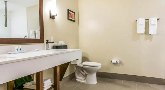 Люкс Comfort Suites Florence - Cincinnati South