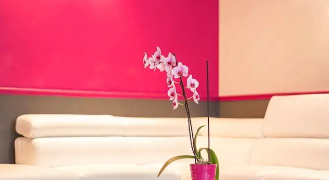 Logis Hôtel Les Cimes, Buchen Sie Hotel SPA-Hotels in Nationalpark Pyrenäen, SPA