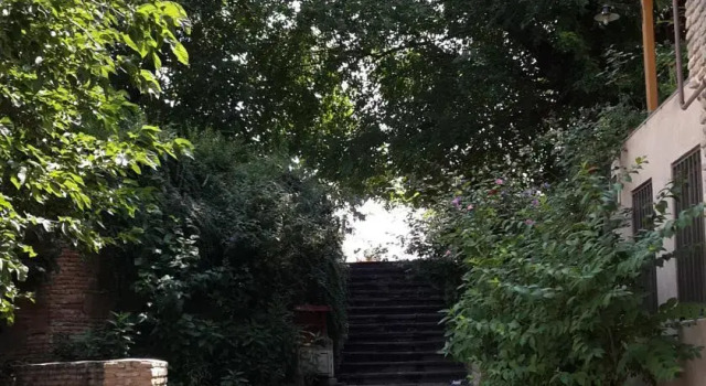 Guesthouse Dinara