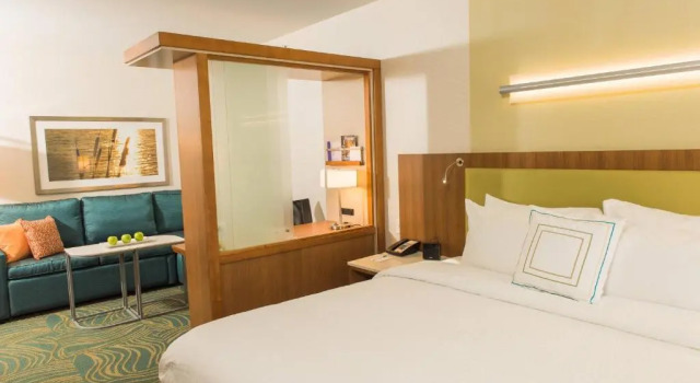 Люкс Springhill Suites Buffalo Airport