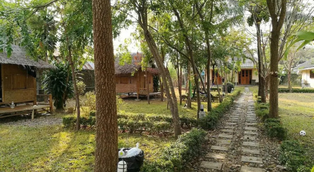 Monkey House 2
