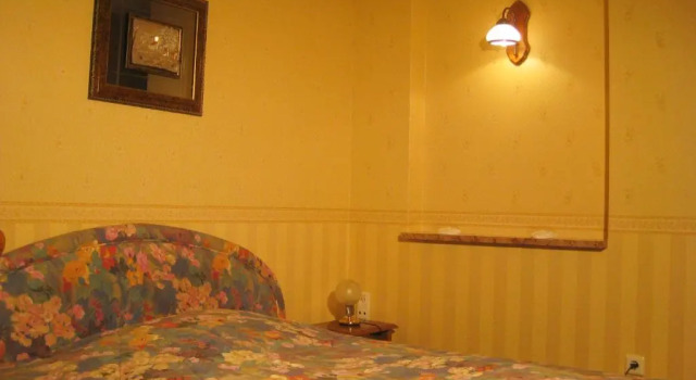 Одноместный номер Standard Burg Hotel Romantik