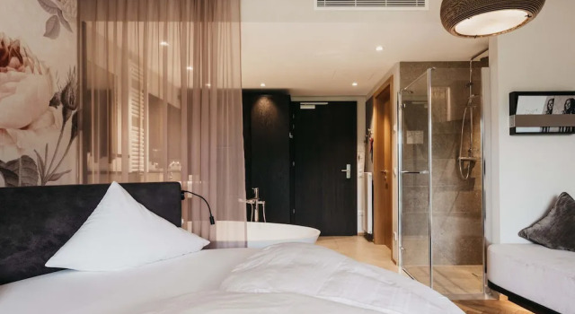 Двухместный номер Standard с балконом Hotel Rudolf