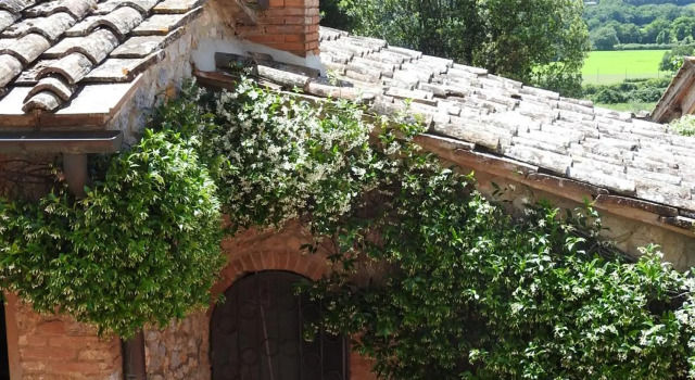 Relais Borgo Di Toiano, Prenota Hotel Hotel a Val di Merse con parcheggio, Parcheggio