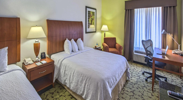 Четырёхместный номер Standard Hilton Garden Inn Huntsville/Space Center