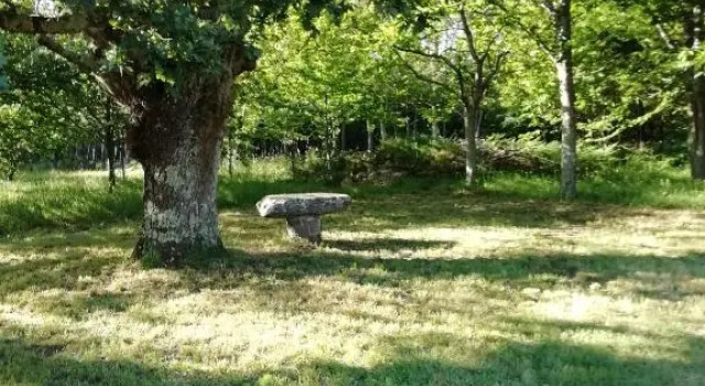 BUELIÑA DA CARBALLEIRA, Забронировать Отель Отели Тео с парковкой, Парковка