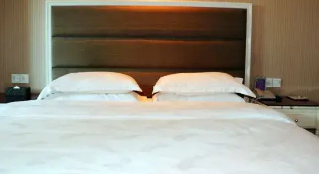 Люкс Business Ega   Hotel