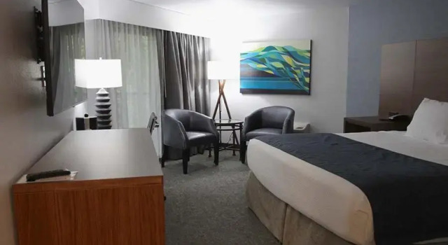 Люкс Deluxe Hayward Inn