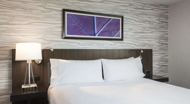 Двухместный номер Standard с видом на реку Hilton Garden Inn Ottawa Downtown