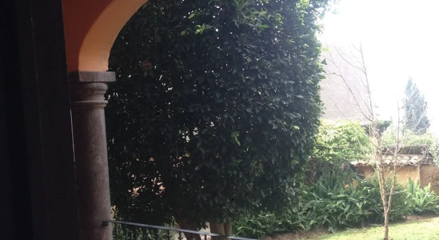 Номер Classic Casa San Miguel el Grande