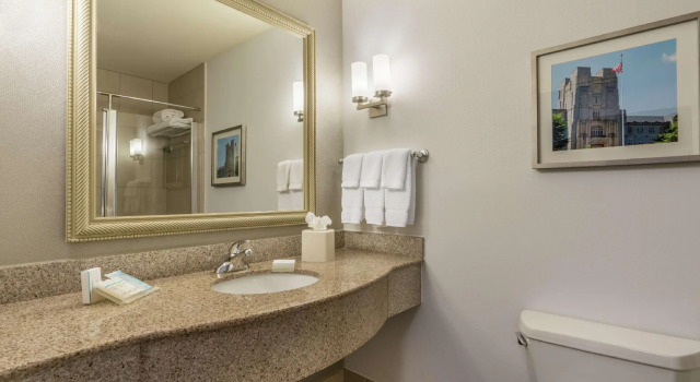 Двухместный номер Standard Hilton Garden Inn Blacksburg University