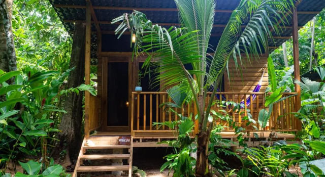 Номер Standard Palmar Beach Lodge
