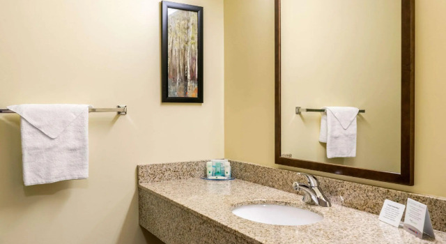 Четырёхместный люкс Quality Inn & Suites