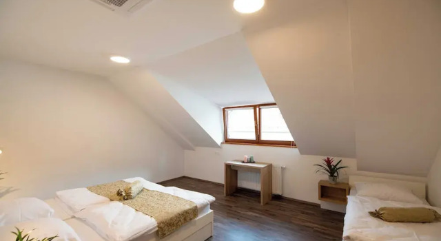 Номер Classic Guesthouse Stari Mayr
