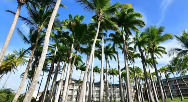 Двухместный номер Standard с видом на сад Hotel Bakoua Martinique