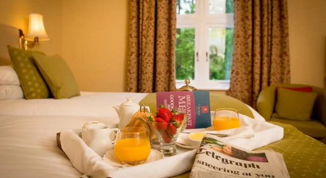 Двухместный номер Standard Glen-Yr-Afon House Hotel