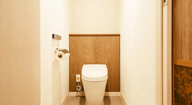 Двухместный номер Deluxe Keisei Richmond Hotel Tokyo Oshiage