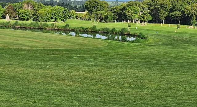 Номер Executive Koura Bay Golf Resort