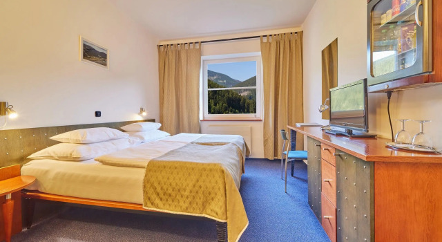 Двухместный номер Standard Hotel Horizont