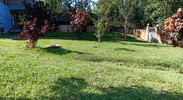 NdamaRosa River Park Resort